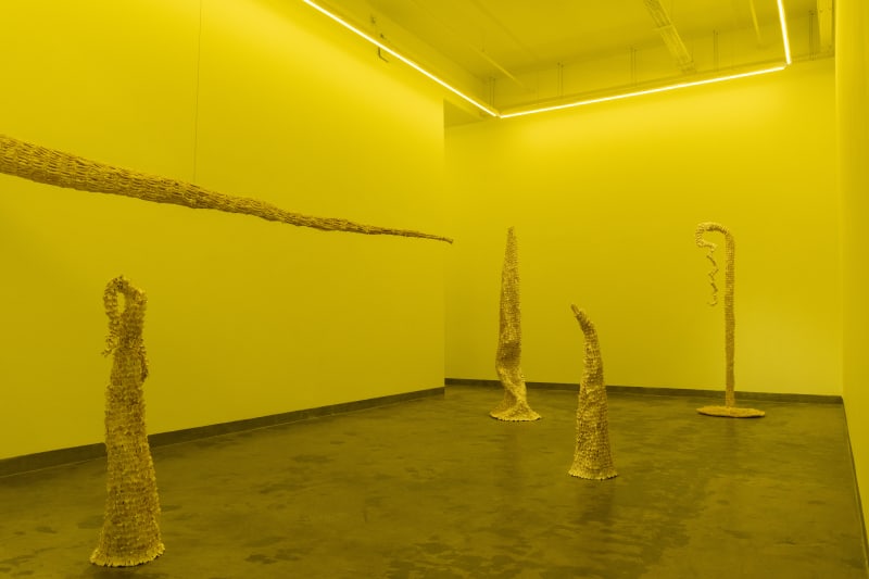 One of Our Fossils , Solo Exhibition by Adam Phong