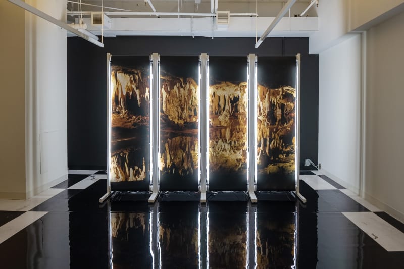 SPRING/BREAK Art Show NYC 2023, Clint Baclawski: Luray