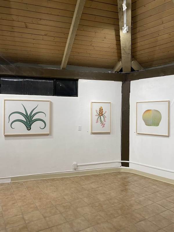 Woah and Wonder, Cassandra C. Jones