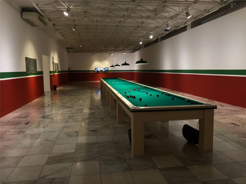 Froiid. É hora da onça beber água. Visão geral da exposição. Galeria Genesco Murta, Palácio das Artes