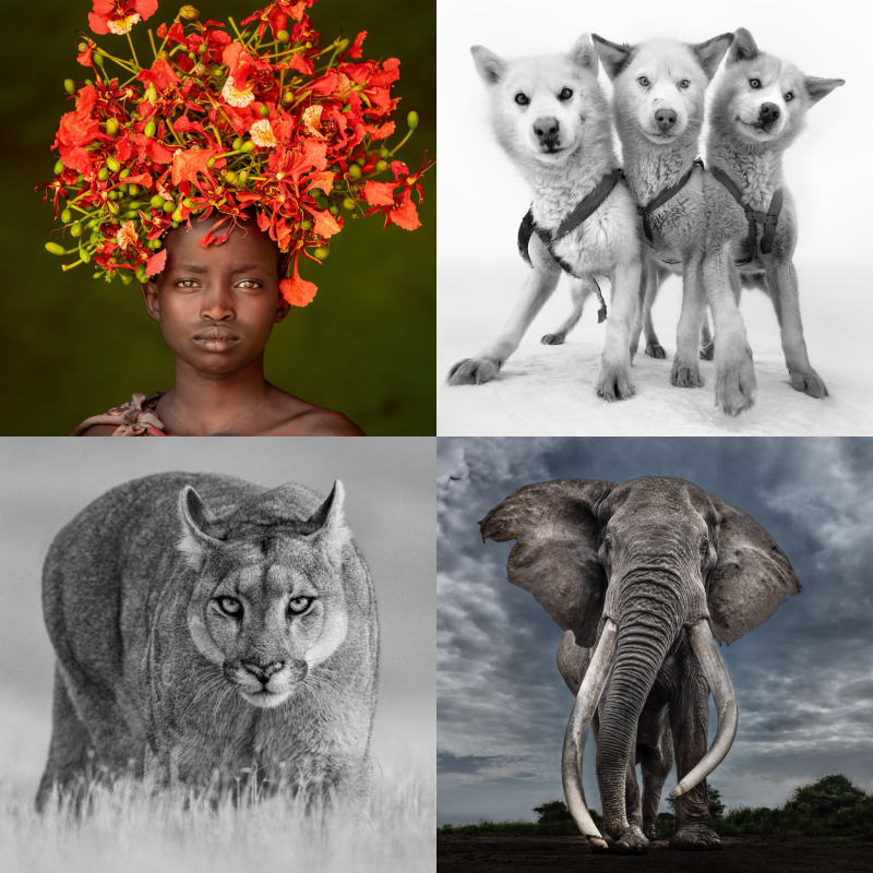 Hope & Reverence - Cristina Mittermeier & Paul Nicklen, Location: 104 Central Park South New York