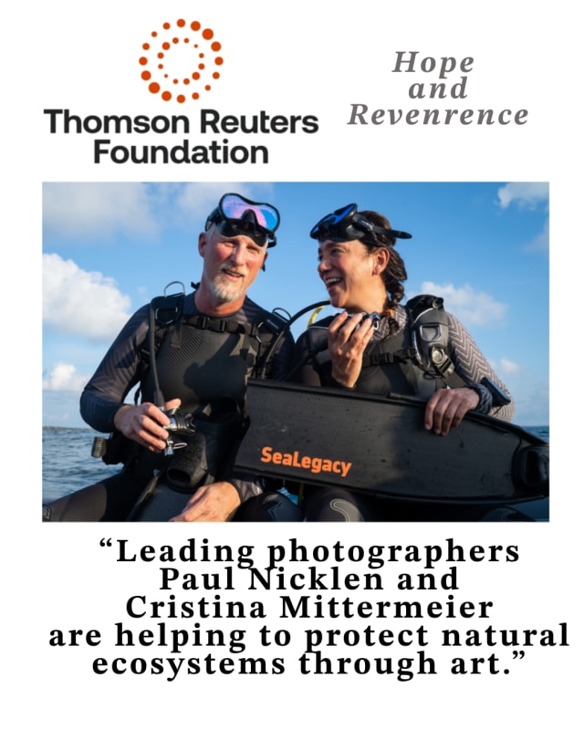 Can Wildlife Photographers Save Nature, Leading photographers Paul Nicklen and Cristina Mittermeier are helping to protect natural ecosystems through art.