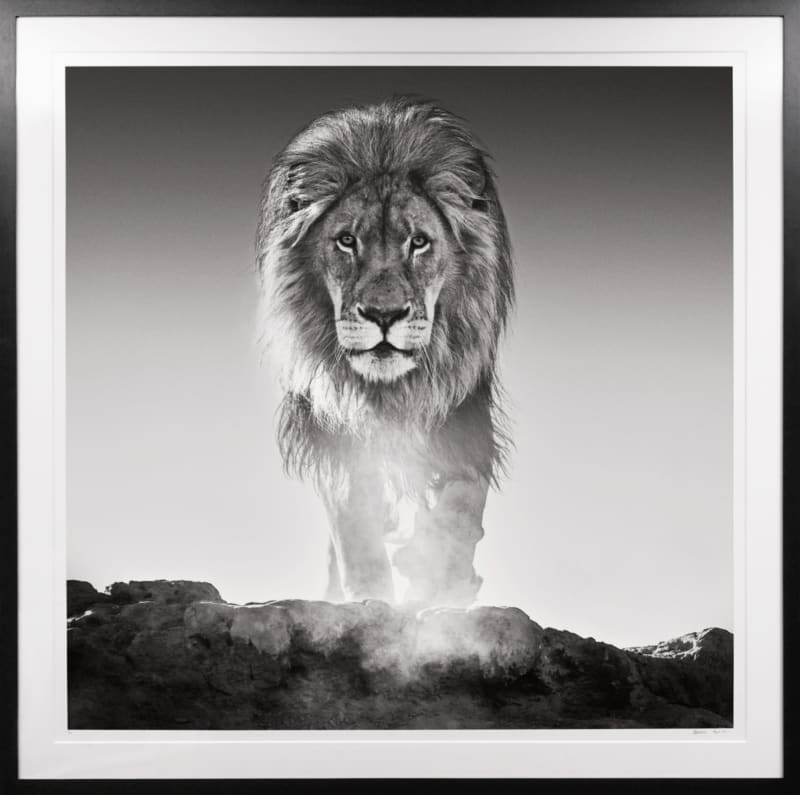 Selected works by David Yarrow