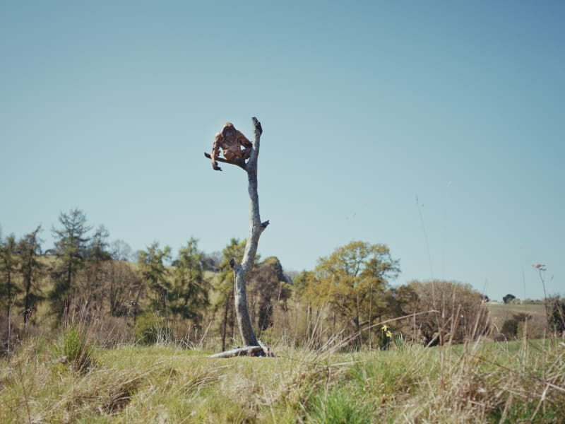 Fred Gordon, Sculpture Garden, Hampshire, May 2025