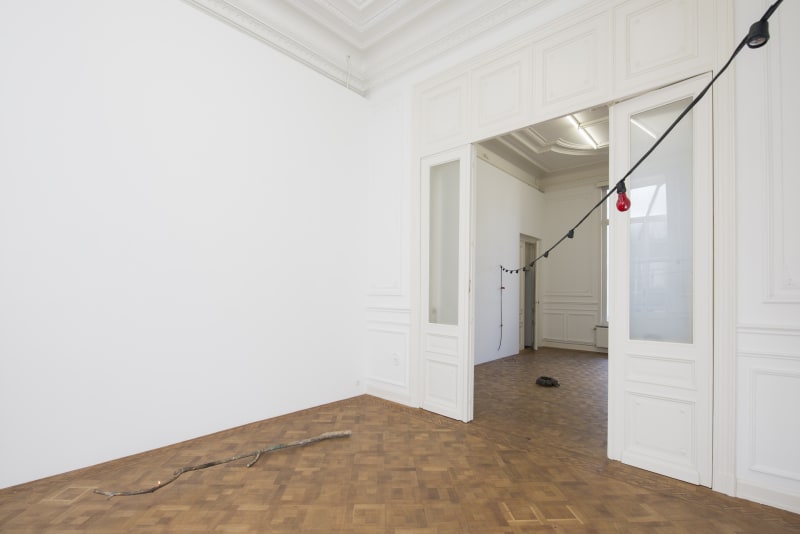 ARIEL SCHLESINGER, Ariel Schlesinger