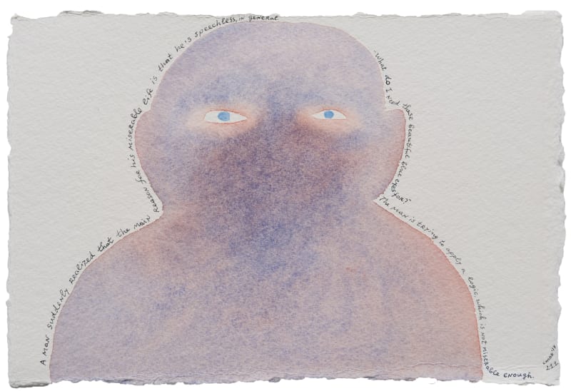 Color Stories, Nedko Solakov