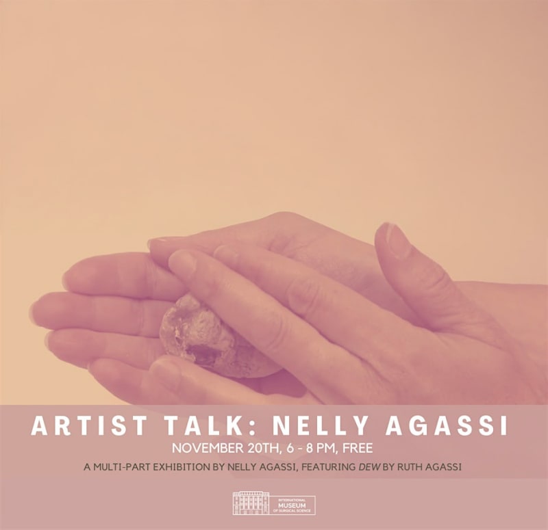 Nelly Agassi: Insomnia, Artist Talk