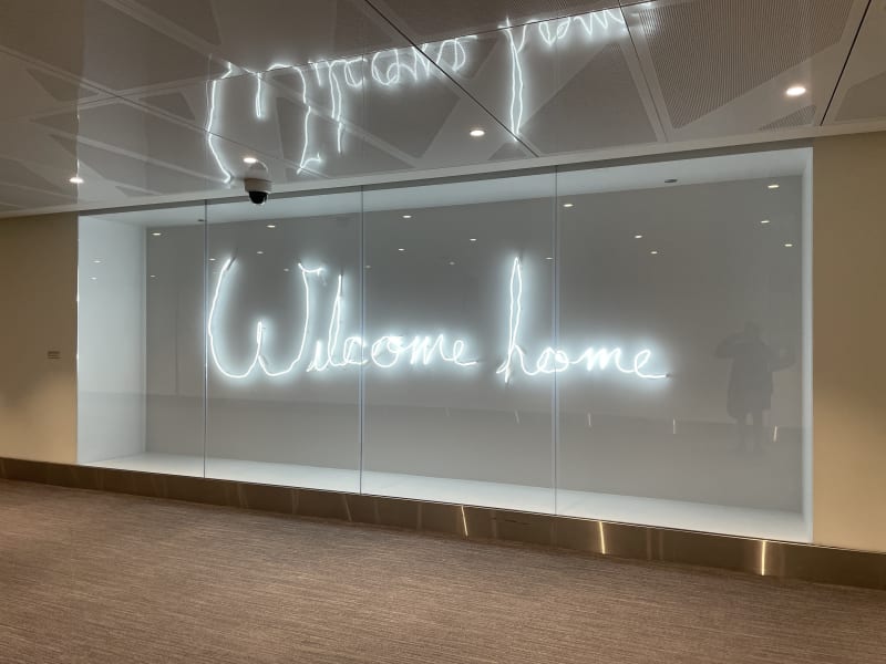 “Welcome Home/Come Home” Nelly Agassi