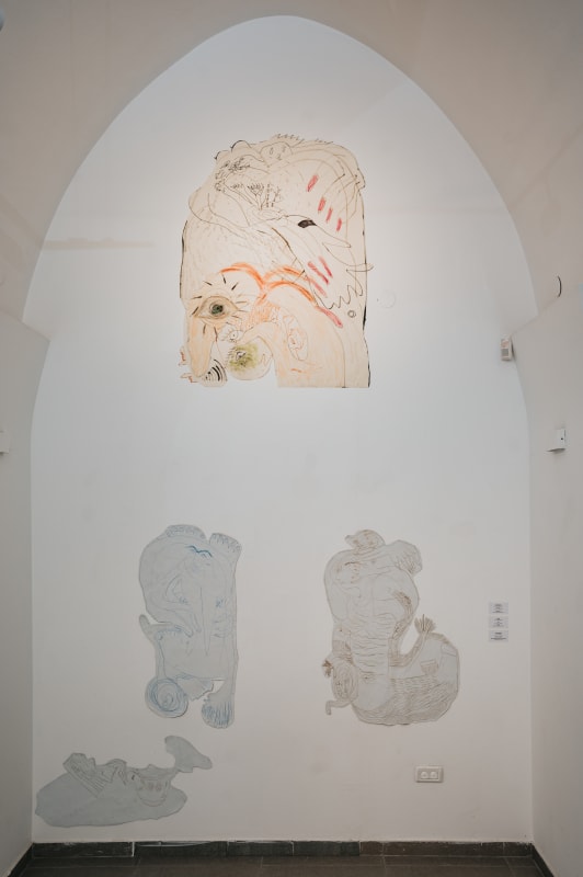 Aysha E Arar, Amphibia, exhibition view