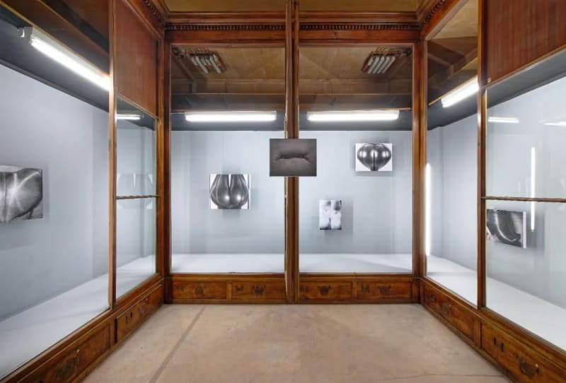 View of “the 16th Lyon Biennale of Contemporary Art: Manifesto of Fragility”, 2022. The Guimet Museum (Ancien musée d'histoire naturelle),...