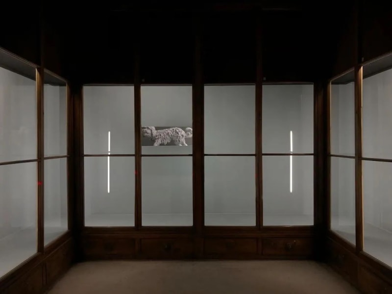 View of “the 16th Lyon Biennale of Contemporary Art: Manifesto of Fragility”, 2022. The Guimet Museum (Ancien musée d'histoire naturelle),...