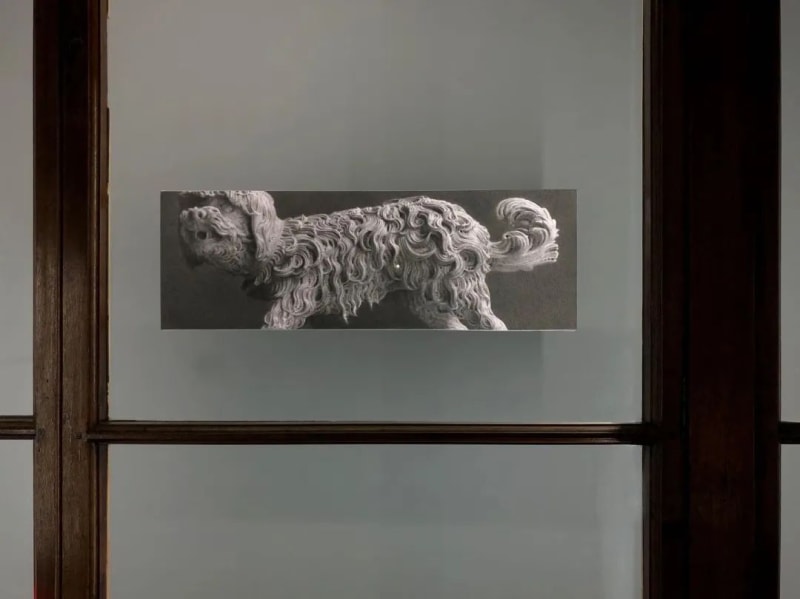 View of “the 16th Lyon Biennale of Contemporary Art: Manifesto of Fragility”, 2022. The Guimet Museum (Ancien musée d'histoire naturelle),...