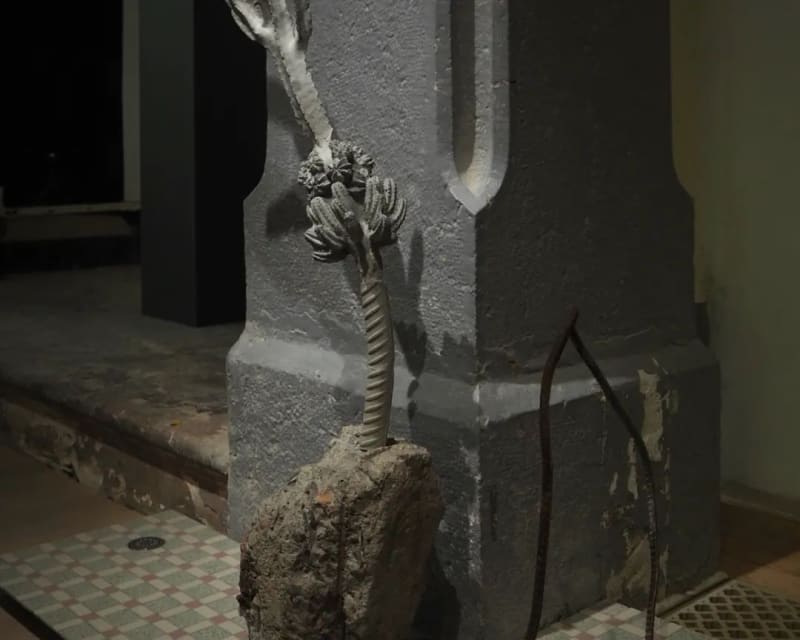 View of “the 16th Lyon Biennale of Contemporary Art: Manifesto of Fragility”, 2022. The Religious Art Museum of Fouviere, Lyon,...
