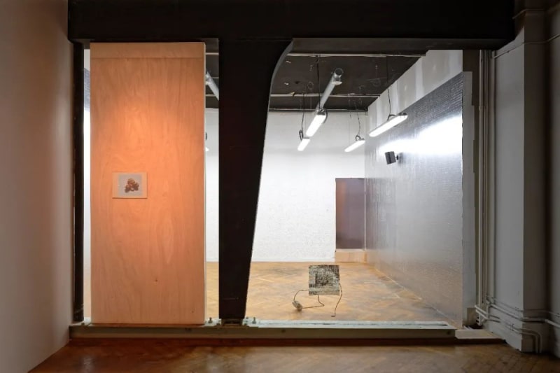 View of “the 16th Lyon Biennale of Contemporary Art: Manifesto of Fragility”, 2022. The Guimet Museum, Lyon, France “第 16...