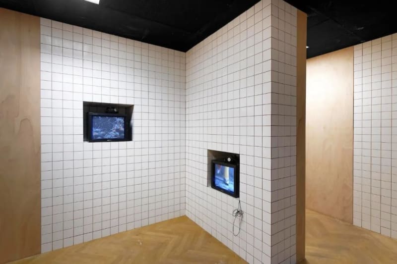 View of “the 16th Lyon Biennale of Contemporary Art: Manifesto of Fragility”, 2022. The Guimet Museum, Lyon, France “第 16...