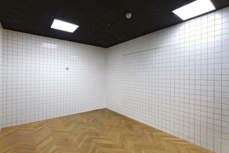 View of “the 16th Lyon Biennale of Contemporary Art: Manifesto of Fragility”, 2022. The Guimet Museum, Lyon, France “第 16...