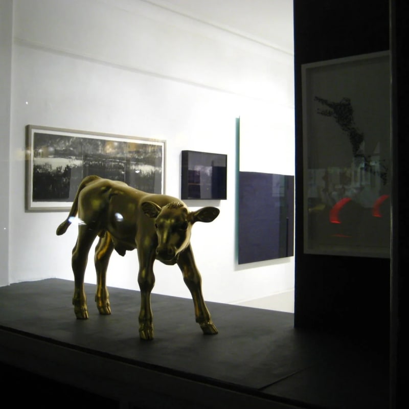 Still Dark, In the depth of winter, obscurity transforms