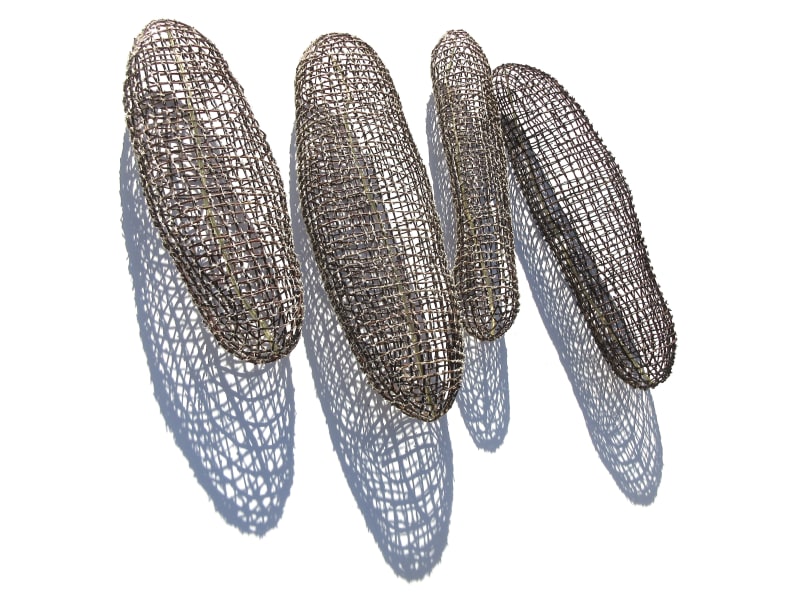 Kazuhito Takadoi | Komorebi | Dappled light