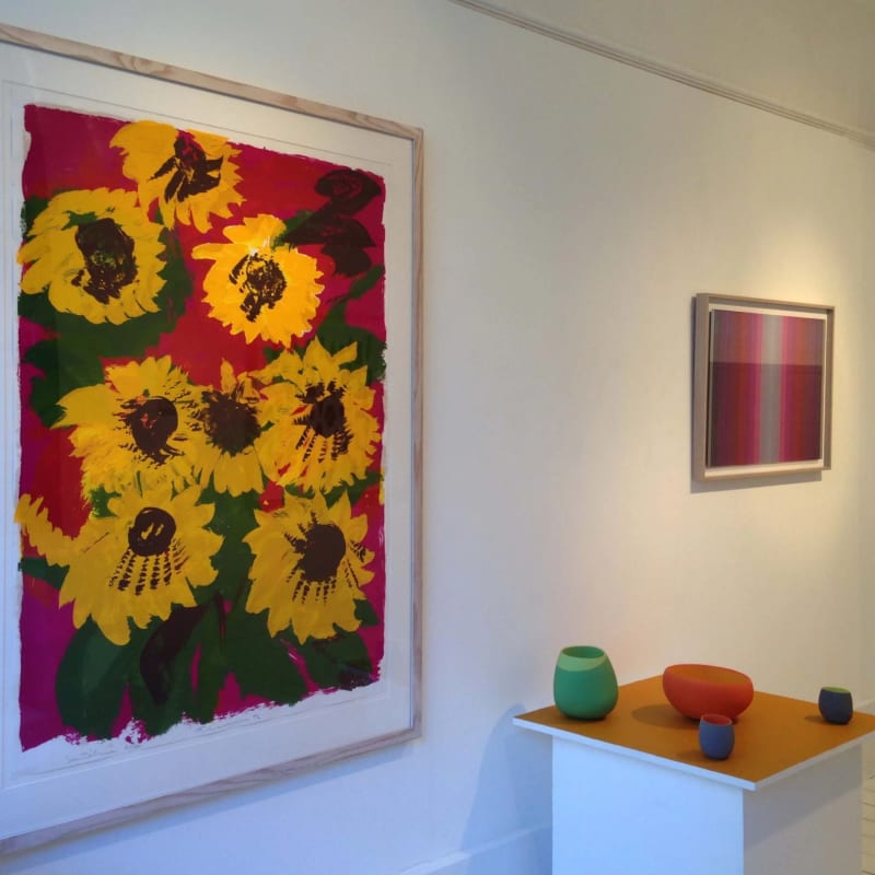 Assortment in Colour XI