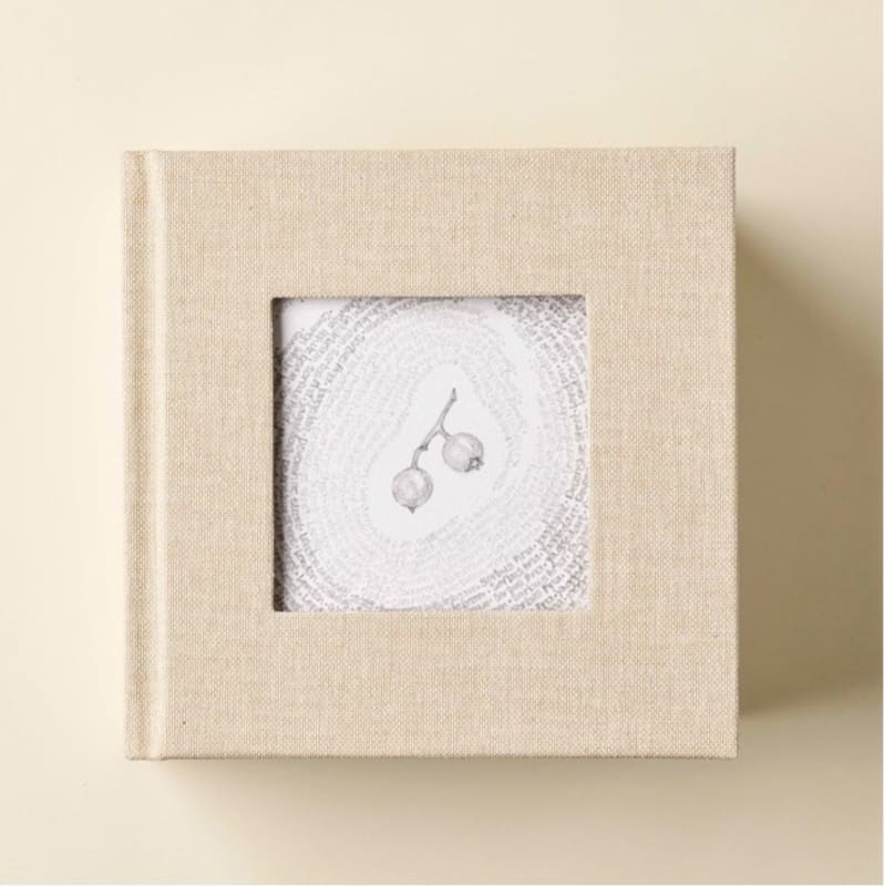 Special Edition | Patricia Swannell, twenty one material conversations and beyond