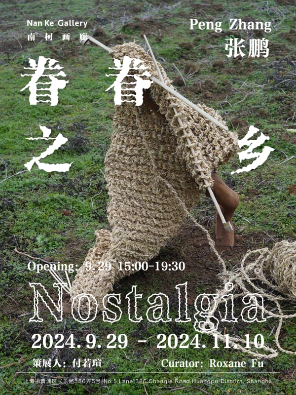Nostalgia, Artist: Peng Zhang Curator: Roxane Fu