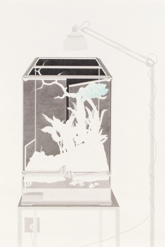 展评|董孝驰:现代自然