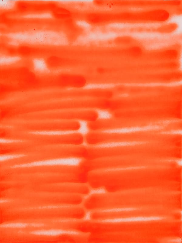 Untitled, 2001, acrylic on cotton, 40 x 30 cm