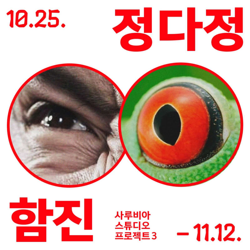 함진, 정다정 x 함진