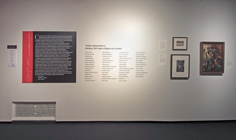 Installation view of Century: 100 Years of Black Art at the Montclair Art Museum