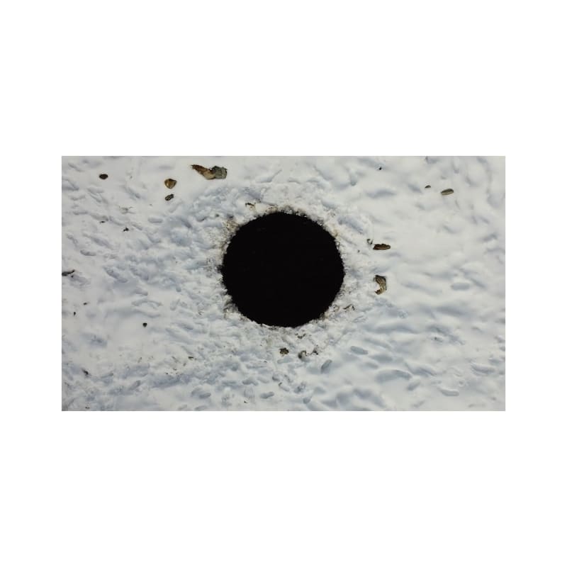 Reverie Retrouvée, Group Exhibition Opening Reception