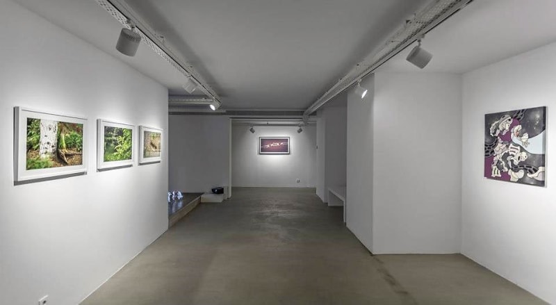 Entangled Cern Plans