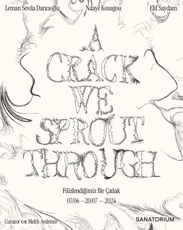 Filizlendiğimiz Bir Çatlak