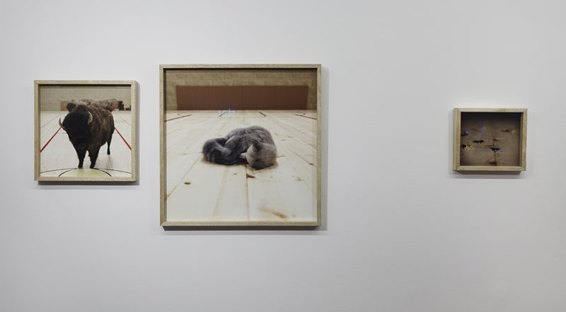 Hürriyet Gazetesi - Wittgenstein’ın 'aRb'si