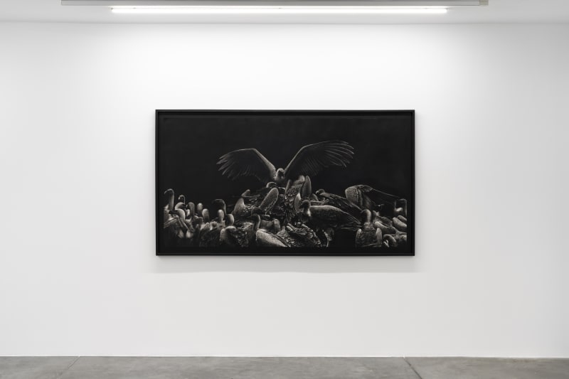 Argonotlar - Kudretin Silüetleri