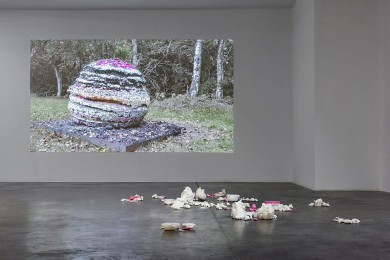 Sanat Kritik - Hosting Bodies