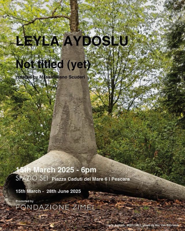 NOT TITLED (YET) - Leyla Aydoslu - curated by Massimiliano Scuderi