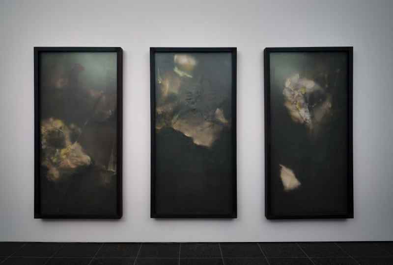 The Earth of This World Is Slippery