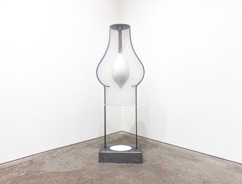 Teresa Serrano: Echoing What is Known