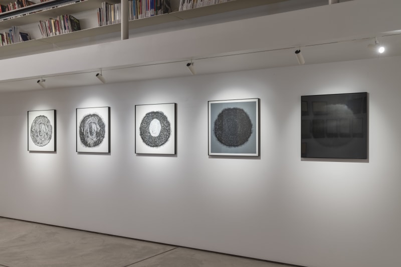 Ephemeroptera: Time After Time: Tarq and Gallery XXL
