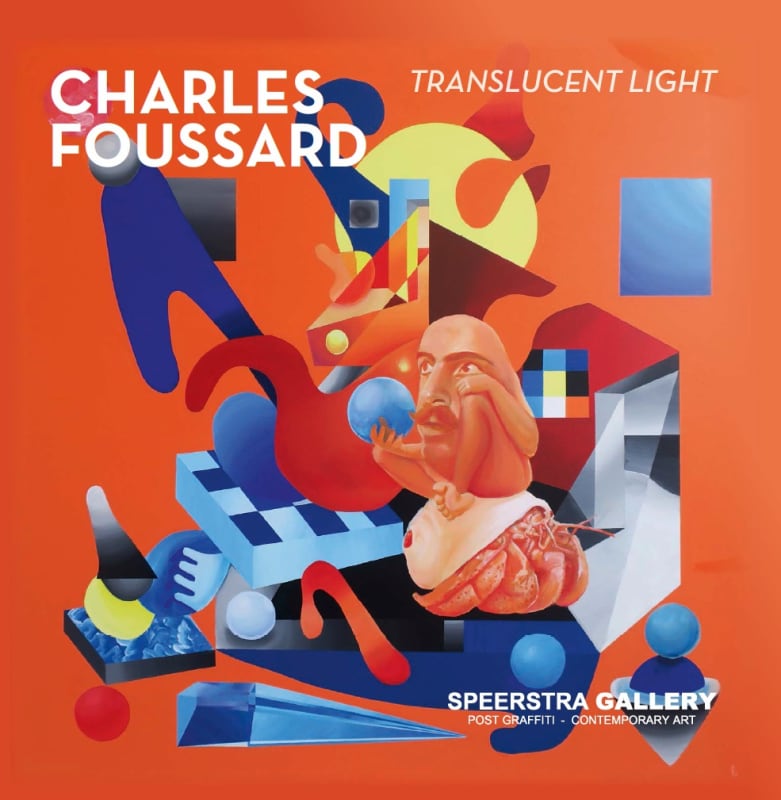 catalog 'Translucent light' Charles Foussard 2017