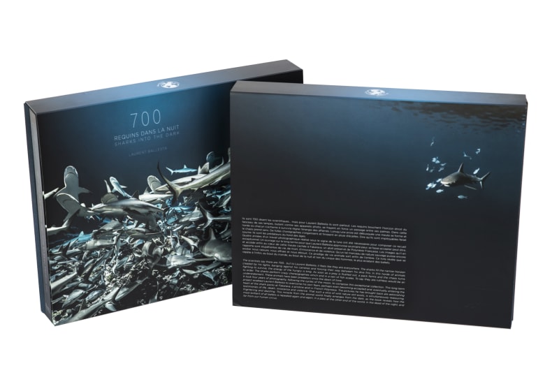 '700 requins dans la nuit' Laurent Balesta - 2018