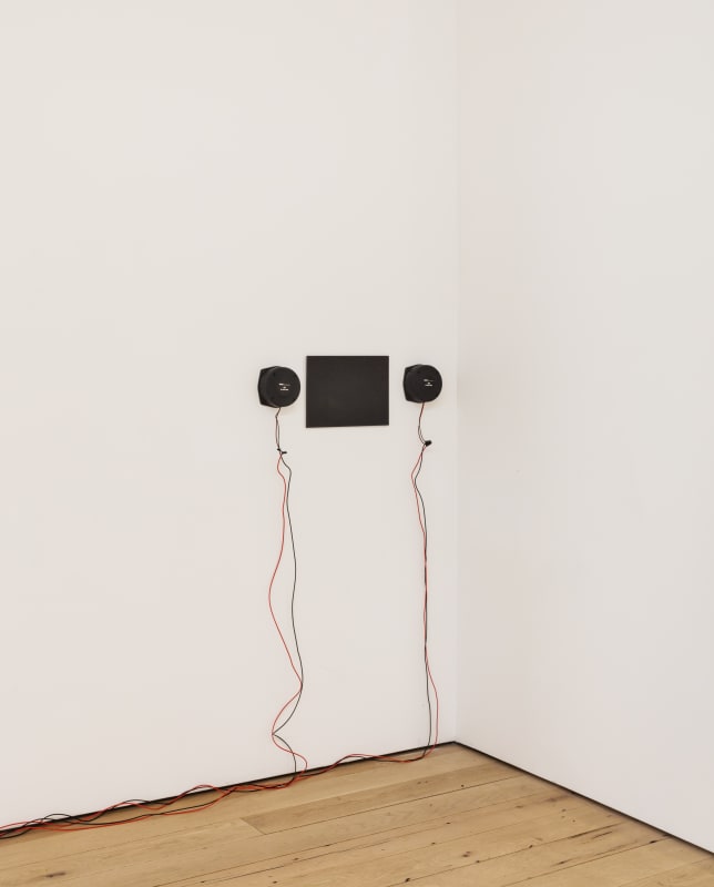 Inna, Gallery Installation, 2020