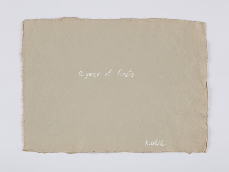 Kathleen White A Year of Firsts, 2001 40 works on paper each: 12 x 16 1/2 in (30.5 x 41.9 cm) each: 16 1/2 x 12 in (41.9 x 30.5 cm)