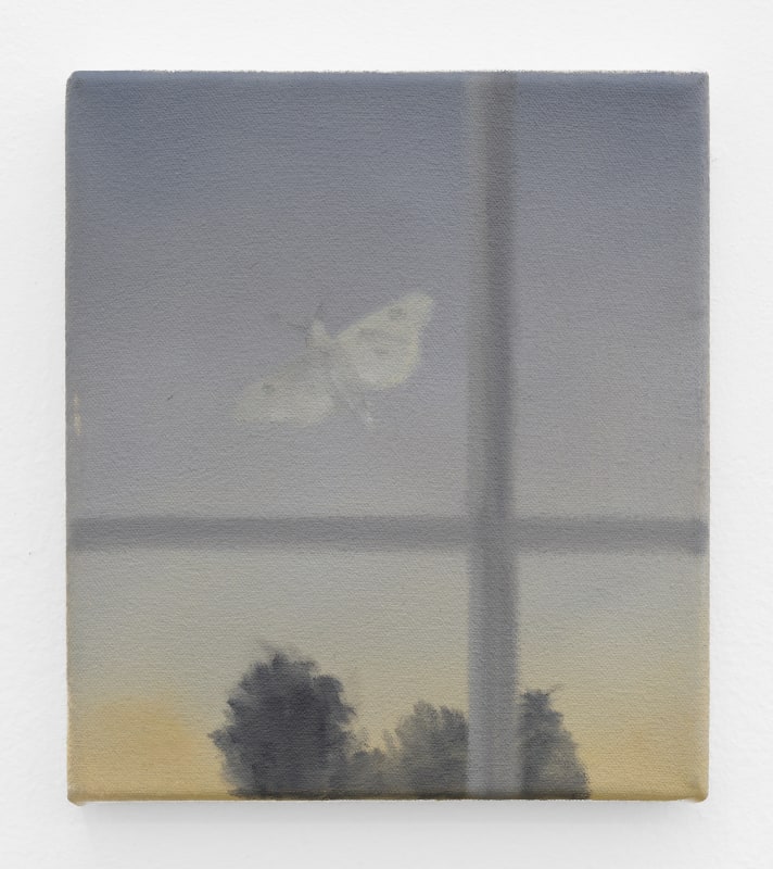 Dylan Williams