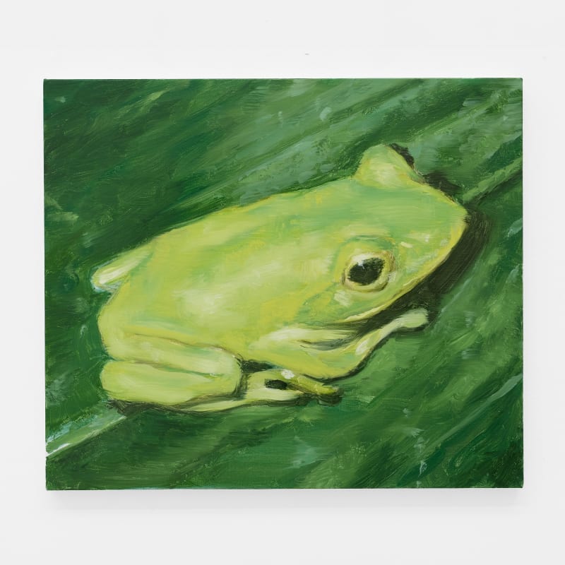 Hidetaka Suzuki, Sound, 2023, oil on canvas, 18 x 21 in. (46 x 53 cm.)