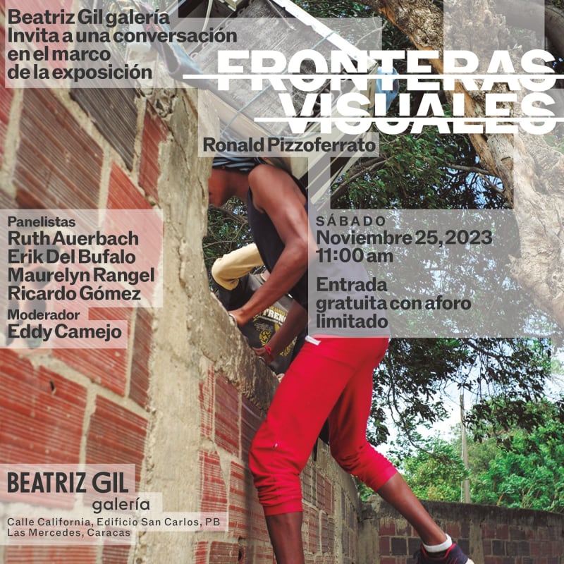 Conversación en el marco de Fronteras Visuales, Con Ronald Pizzoferrato, Erik del Bufalo, Maurelyn Rangel, Ruth Auerbach y Ricardo Gómez-Pérez