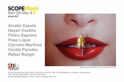 SCOPE Miami 2011