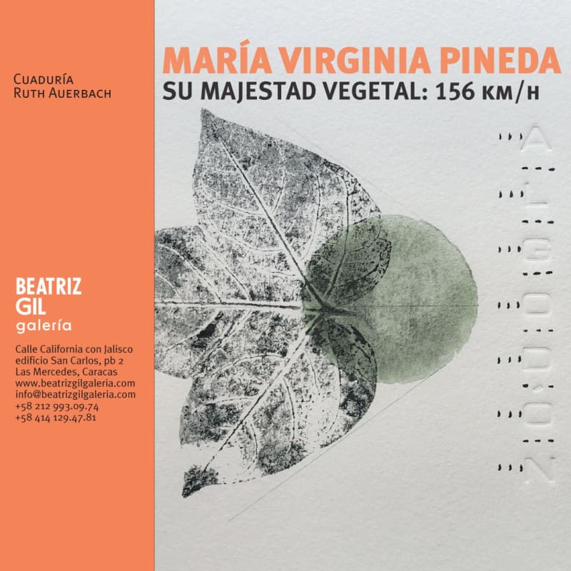 Su Majestad Vegetal: 156 km/h, María Virginia Pineda