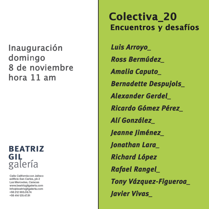 COLECTIVA_20 Encuentros y desafíos, 13 artistas participantes