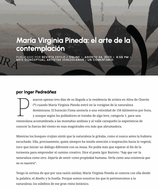 María Virginia Pineda: el arte de la contemplación, Estilo - Revista cultural